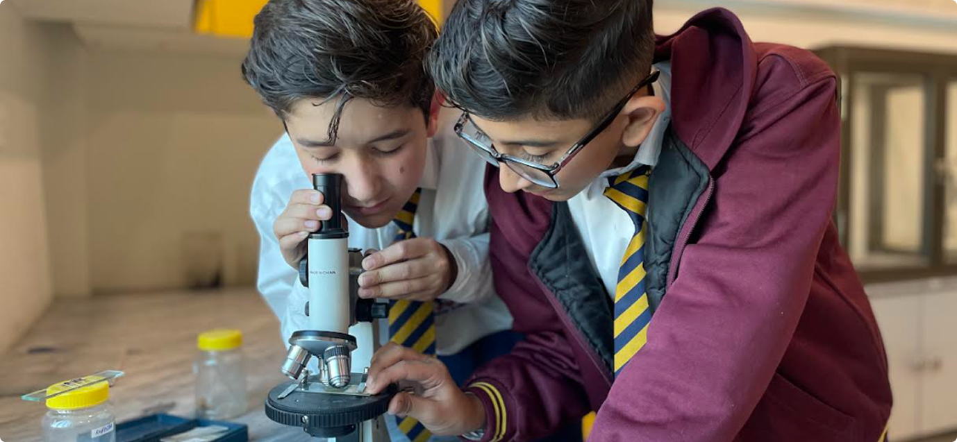 Discover a Fulfilling Educational Experience